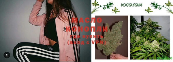 стаф Новозыбков
