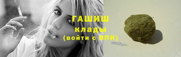 стаф Новозыбков