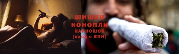 стаф Новозыбков