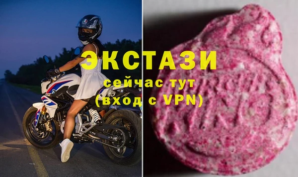 стаф Новозыбков