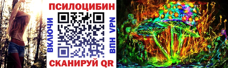 Галлюциногенные грибы прущие грибы  Зеленокумск 